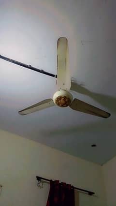 1 Sufi 1 gfc fans for sale  num. 0329.8513601