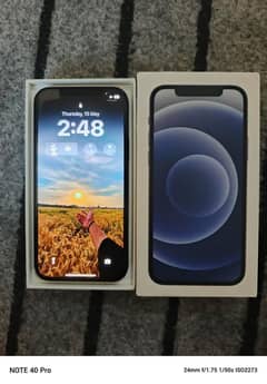 iPhone 12jv