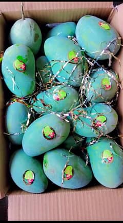 Multani Mangoes