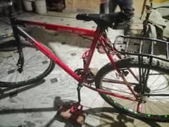 phoenix frame bicycle