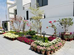 150ft Road Facing 10 Marla Plot for Sale in Sector C