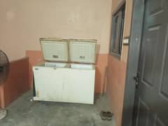 sale on refrigerator and Deep freezer