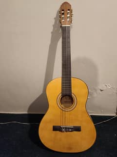 Nylon Strings New Guitar