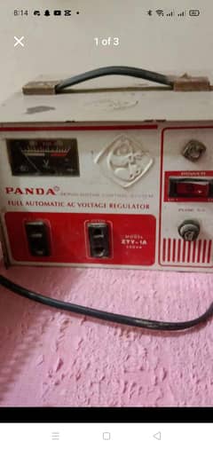 Panda