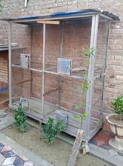 5 parrots along with steel cage