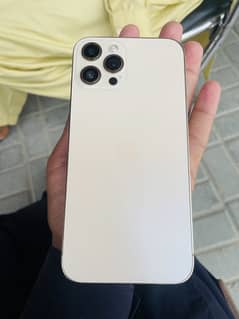 iPhone 12 pro maxx