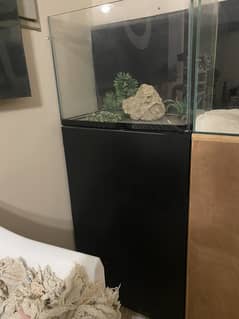 Fish Aquarium