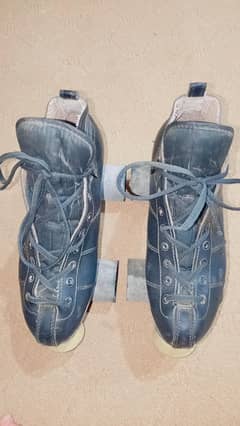 skating shoes