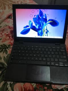 Chromebook & Laptop