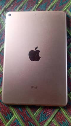 iPad mini 5.