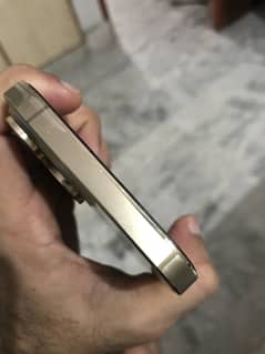 iPhone 13 pro max duel physical