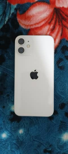 iPhone 12 mini