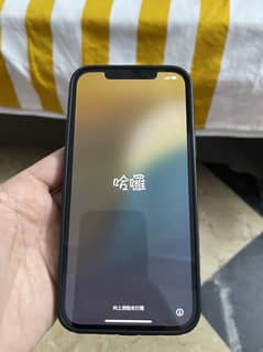 iPhone 12 Pro Max PTA Approved!