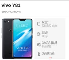 vivo
