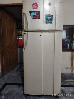 PEL Refrigerator Family Size