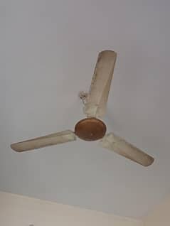 pure copper 56inc Ac fan