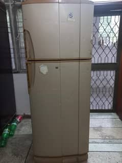 fridge full size