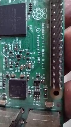 Raspberry