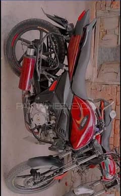 super power cheetah 110cc bike