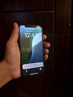 Iphone 12 jv