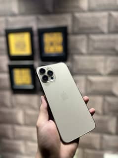 Iphone 12 pro max pta approved