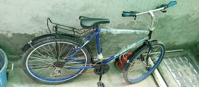 Phoenix New Bicycle for Sale