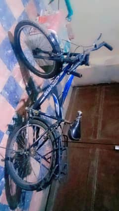 cycle for sale