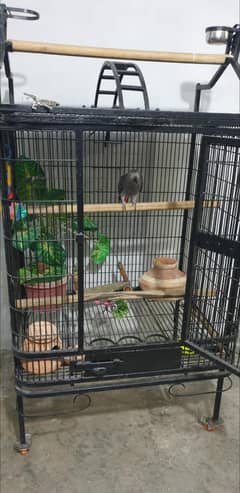 Cage
