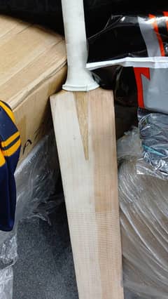 English Willow grade 2 10/8