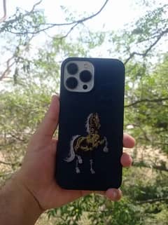 iphone 13 pro max (factory unlocked/LLA}