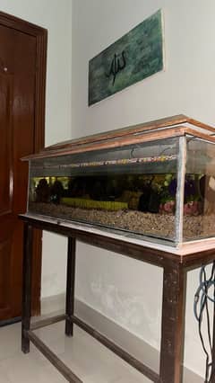 Fish aquarium (see description)
