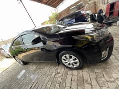 Corolla XLI
