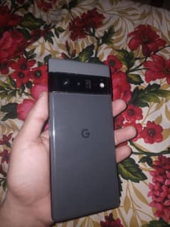 Google Pixel 6 PRO