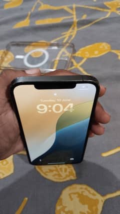 Apple iPhone 12 Pro Max