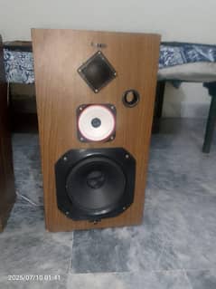 amplifier