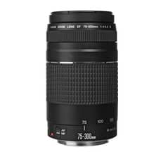 Canon 75-300mm lens