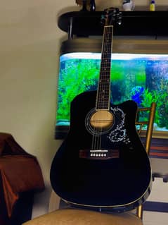 Semi Acoustic guitar