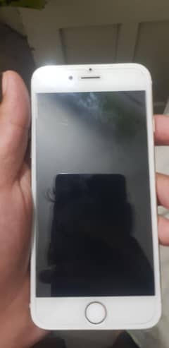 iPhone 6
