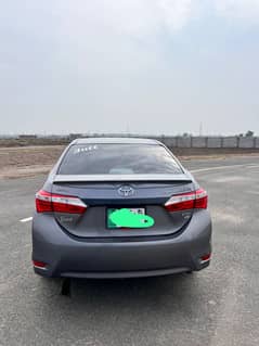 Altis grande