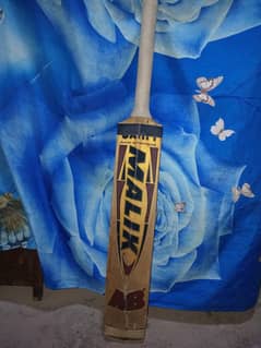 hard ball bat