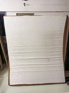 Molty Ortho Foam Medicated