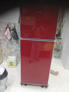 Hair refrigerator 16 cubic mint condition Like new