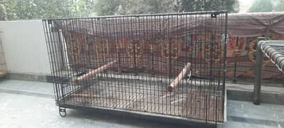 two cages for sale