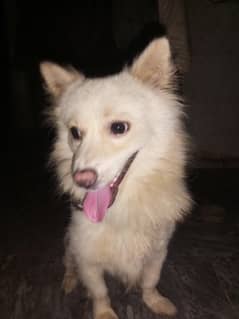 For sale