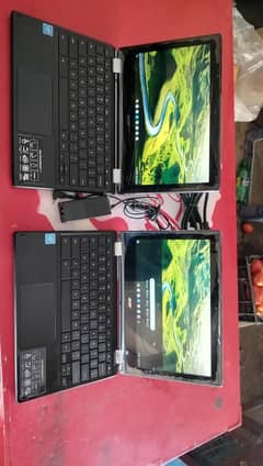 Acer
