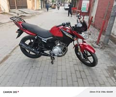 Yamaha ybr 125 for sale Punjab number