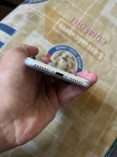 I phone 7 non PTA