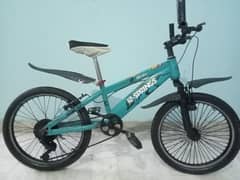 SPRING BI CYCLE ( 20 size ) 03172527209