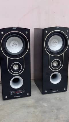 Audionic