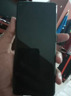 one Plus 8oro